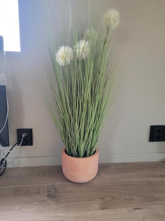 Ålesund Single Elegant Room I Sentrum- Sea View מראה חיצוני תמונה